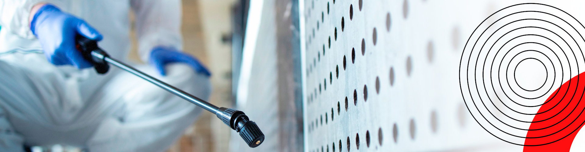 désinsectisation de nuisibles 77