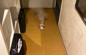 Désinsectisation Noisiel