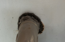 Colmatage des trous de rongeurs avec du fibre métallique et de la silicone anti rongeurs dans une école maternelle de la Seine et Marne 77 